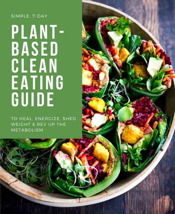 plant-based-diet-guide-and-recipes-feasting-at-home